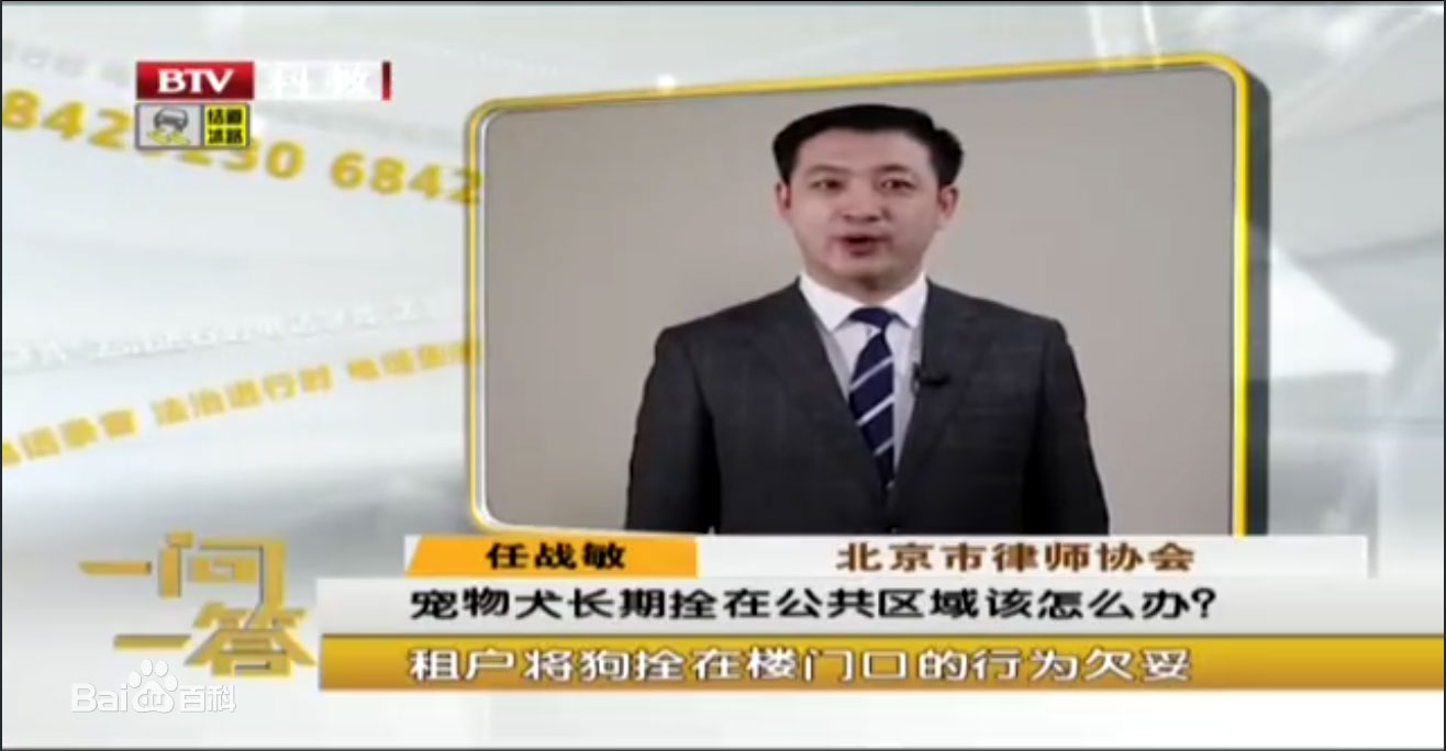 任战敏律师