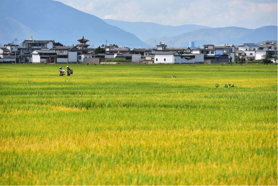 征地补偿